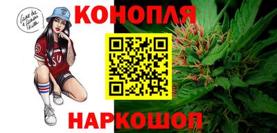мдпв Можайск