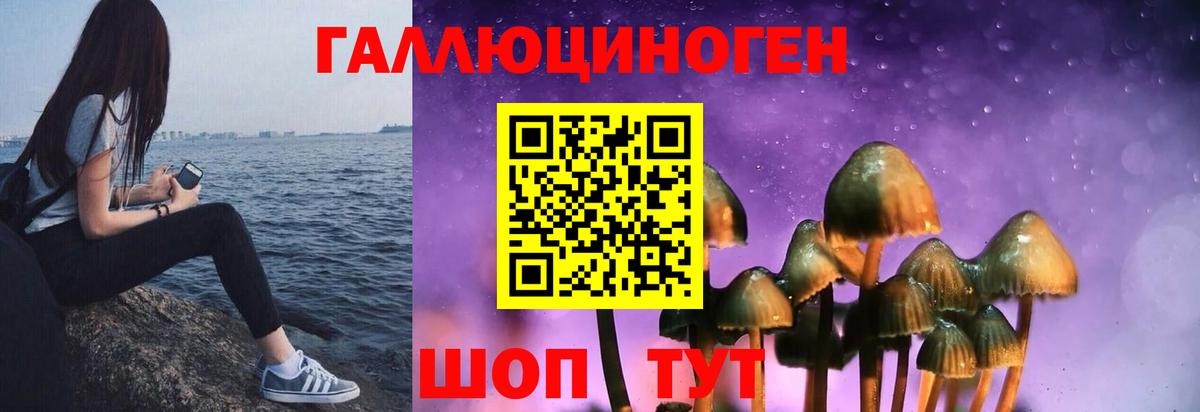 Галлюциногенные грибы Cubensis Верхняя Салда